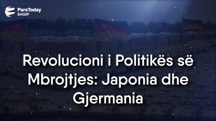 Revolucioni i Politikës së Mbrojtjes: Japonia dhe Gjermania