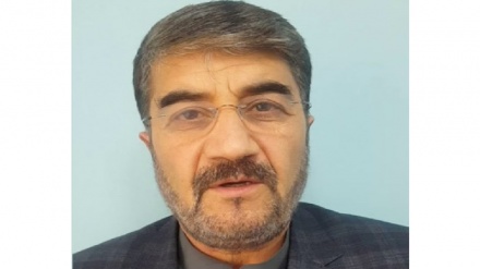 مولوی فضل الرحمان از آینده طالبان پاکستانی و طالبان افغانستانی نگران است