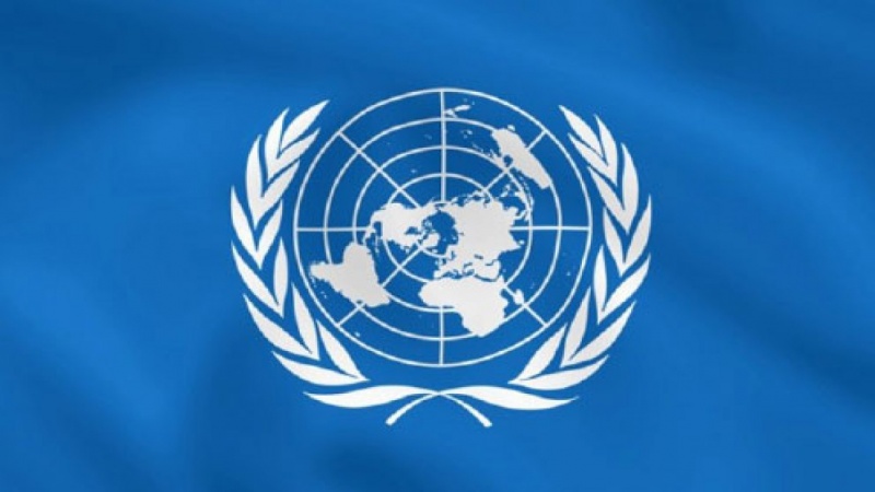 واکنش سازمان ملل به کشتار شیعیان افغانستان