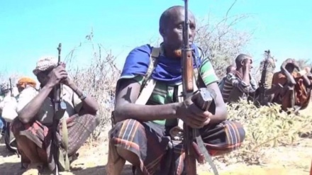 Scores of al-Shabab terrorists killed by Somali army