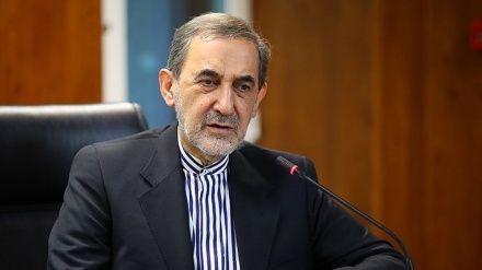 যারা ইসরাইলের সঙ্গে সম্পর্ক গড়তে চায় তাদের শিক্ষা নেয়া উচিত: ইরান