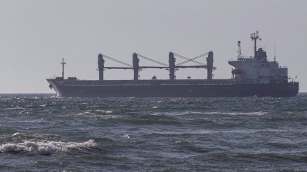  Black Sea grain deal extended for 120 days: Ukraine 