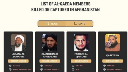  انتشار مدارکی جدید از حضور القاعده در افغانستان 
