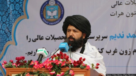 وزیر تحصیلات عالی طالبان تکلیف تحصیل دختران را یکسره کرد