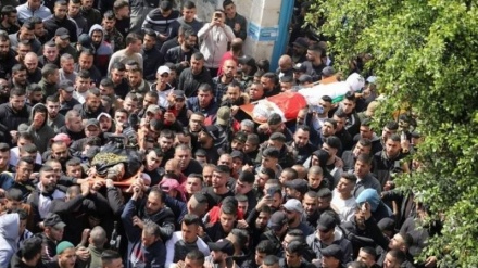 האיחוד האירופי: רק ב-72 השעות האחרונות, 10 פלסטינים נרצחו על ידי כוחות ישראל