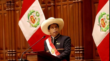 秘鲁国会投票通过弹劾总统动议