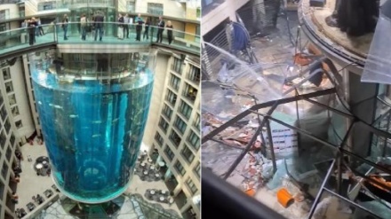 Germania, esplode l'acquario Berlino con 1.500 pesci + VIDEO