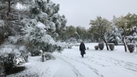 テヘランでの初雪