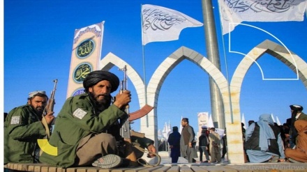 واکنش‌های داخلی و خارجی به اعدام علنی یک متهم توسط طالبان در فراه