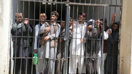  تاثیر منفی آزاد نکردن زندانیان افغان بر روابط کابل- اسلام آباد