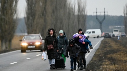 Shumica e azilkërkuesve ukrainas nuk duan të kthehen në vendin e tyre