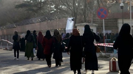 مقام طالبان: بازگشایی دانشگاهها به روی دختران فقط به فرمان ملاهبت الله میسر است