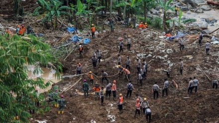 哥伦比亚突发泥石流造成至少33人死亡