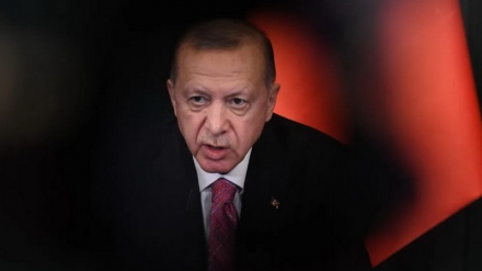 Эрдоган и высокая цена новой операции против Сирии