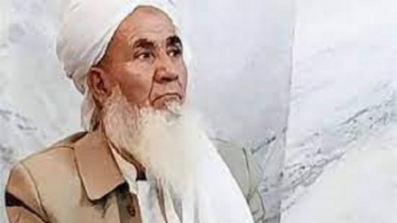 मस्जिदे इमाम हुसैन (अ) के इमाम मौलवी अब्दुल वाहिद के हत्यारे हुए गिरफ़्तार