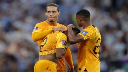 هلند، تنها تیم بدون باخت جام جهانی