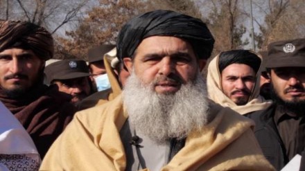 وزارت داخله طالبان از ایجاد 27 ولسوالی جدید خبر داد