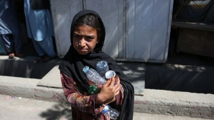 افغانستان در صدر فهرست کشورهای جنوب آسیا از نظر عدم امنیت غذایی