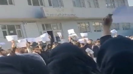 هم‌صدایی پسران و دختران دانشجو در ننگرهار در اعتراض به منع تحصیلات عالی دختران