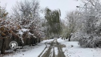テヘランでの初雪