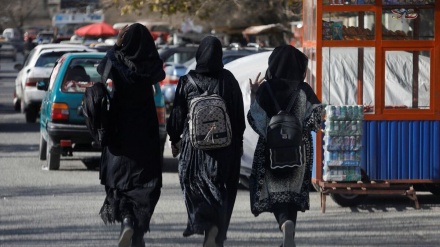 اعتراض دانشجویان پسر به  ممنوعیت تحصیل دختران در دانشگاه 