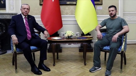 Erdoğan, Ukrayna Cumhurbaşkanı Zelenski ile telefonla görüştü