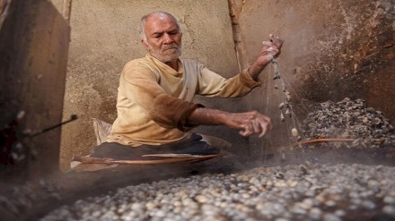 یونسکو تولید سنتی ابریشم را به نام افغانستان و شش کشور ثبت کرد