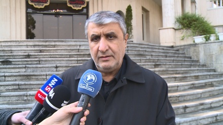Islami: Nga derivatet e ujit të rëndë prodhohen medikamente