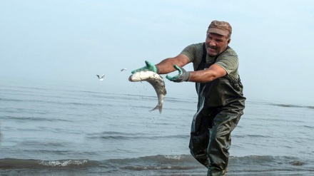 Penangkapan Ikan di utara Iran