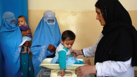 UN halts some Afghanistan programs after Taliban ban on women staff