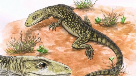 Un fossile trovato anticipa l’origine delle lucertole di 35 milioni di anni