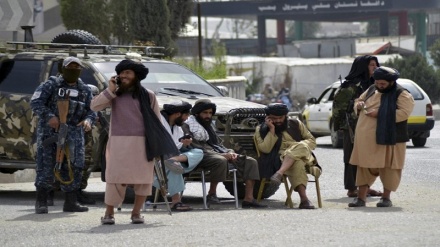 10 هزار نیروی پلیس طالبان سواد خواندن و نوشتن می آموزند