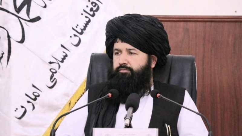 ندیم: در دنیا نظام مستقلی مانند حکومت طالبان وجود ندارد