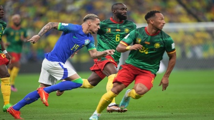 صعود برزیل علیرغم باخت به کامرون /  سوئیس با شکست صربستان صعود کرد