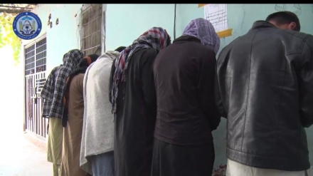 بازداشت ۱۲ نفر در کابل به جرم راه‌اندازی کارخانه مشروبات الکلی 