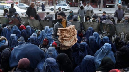 سازمان ملل: ۶ میلیون نفر در افغانستان در یک قدمی قحطی قرار دارند