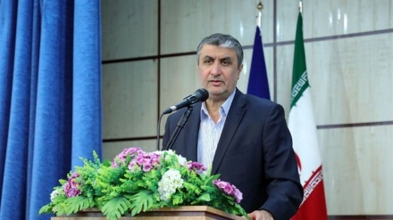 イラン原子力庁長官、「我が国は世界の原子力産業中心地になれる」