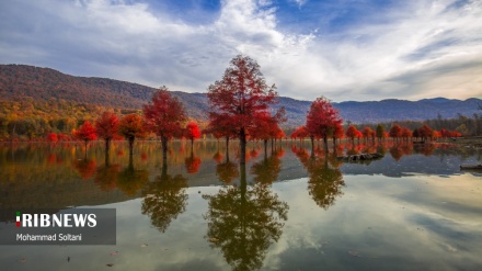 Stina e vjeshtës me njëmijë ngjyra në malet madhështore të provincës Mazandaran në Iran