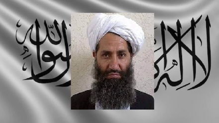 رهبر طالبان: افغان ها از کشتن همدیگر دست بکشند