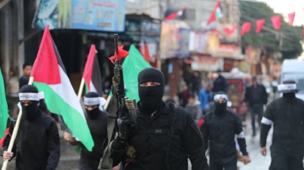 इस बार नाबलुस में दिखी नए फ़िलिस्तीनी संगठन अरीनल उसूद की हनक, इस्राईल की नाक के नीचे फ़ौलाद की दीवर बनकर उभरा फ़िलिस्तीनी प्रतिरोध