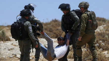 Regjimi sionist arrestoi rreth 500 palestinezë gjatë muajit të kaluar