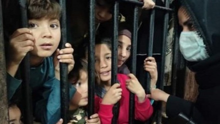 افغانستان توقف بازداشت پناهجویان افغان را در پاکستان خواستار شد