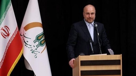 קליבאף: התנהגותה של ארה