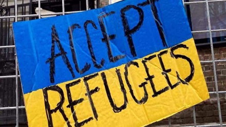 Europe's support for Ukraine comes at expense of millions of others: Report