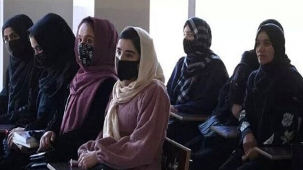 阿富汗塔利班宣布暂停全国女性接受大学教育