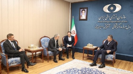 国际原子能机构代表团访问伊朗
