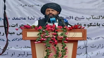 پیشنهاد عجیب وزیر تحصیلات عالی طالبان برای تعیین درجه علمی 