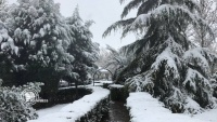 テヘランでの初雪