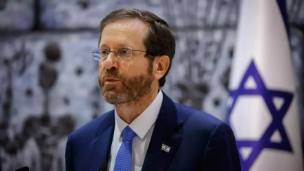 הרצוג: 
