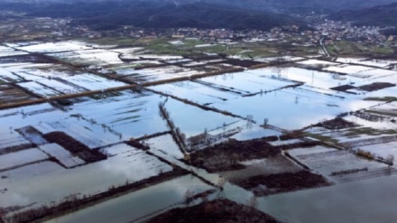 Shqipëri: Mbi 1.700 hektarë tokë e përmbytur, një rrugë e bllokuar nga orteqet